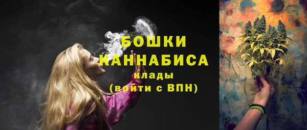 спайс Богородск