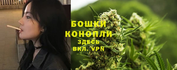 mdpv Богородицк