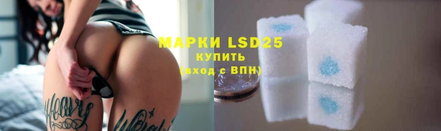 mdpv Богородицк
