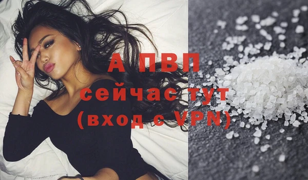 mdpv Богородицк